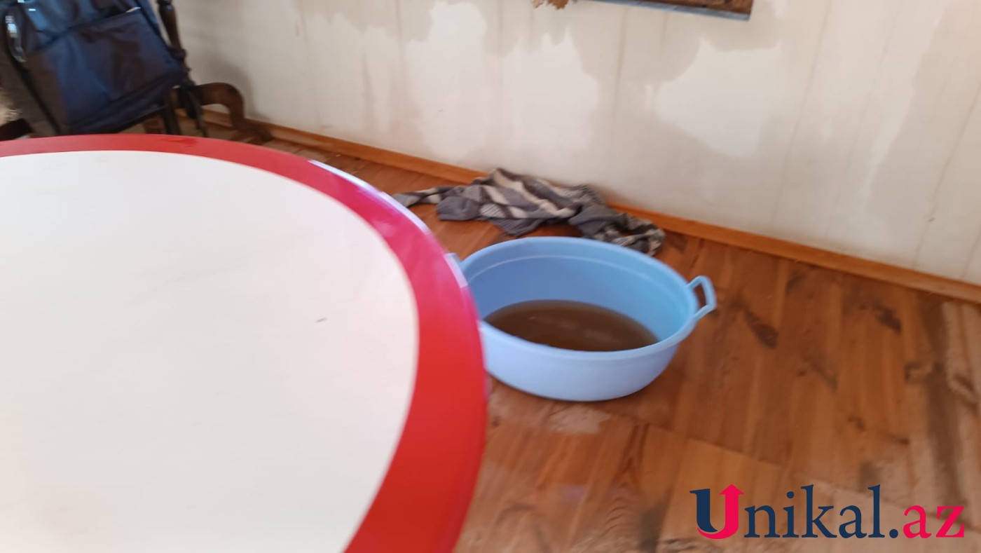 Güclü külək daha bir rayonda fəsadlar törətdi - FOTOLAR